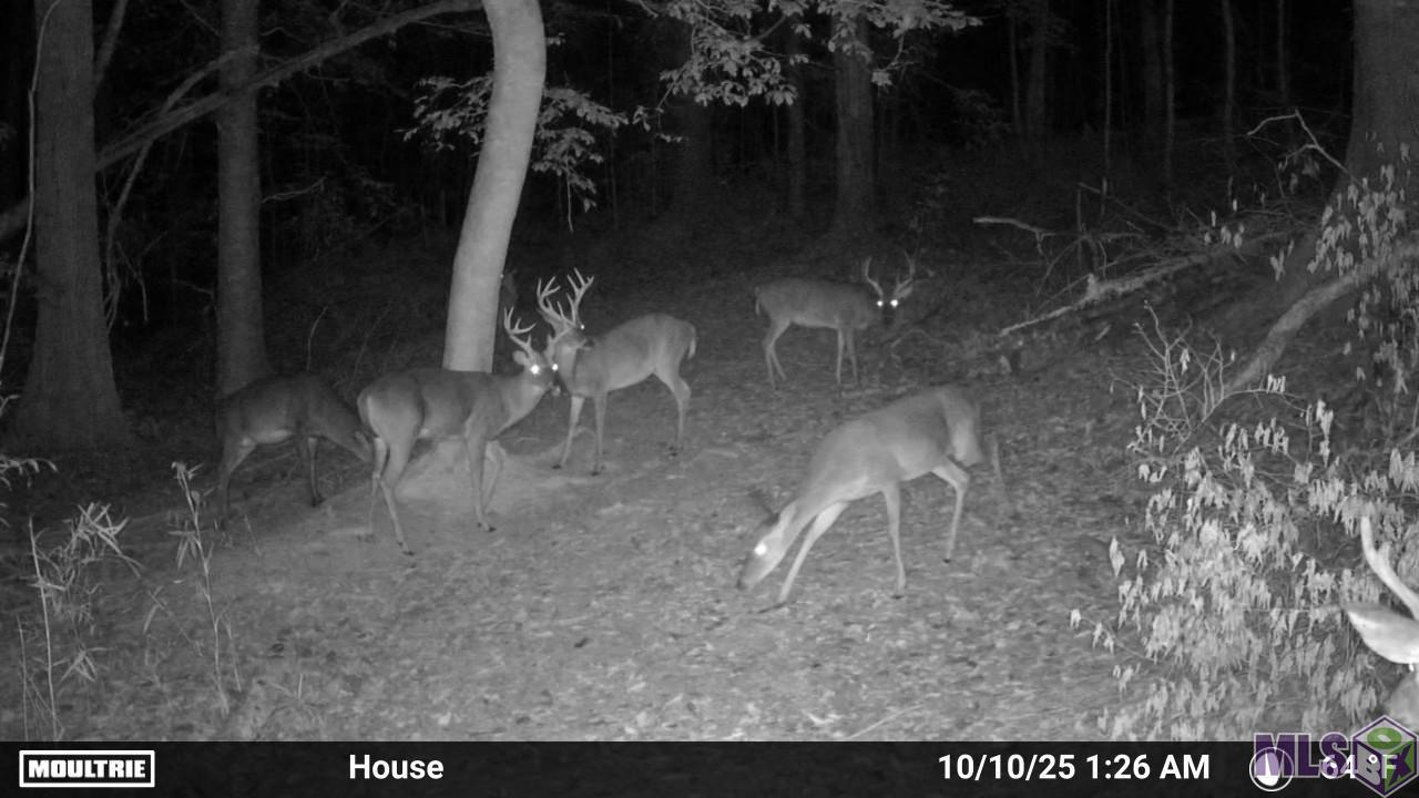 12724 Pittman Road St. Francisville, LA 70775 - Photo 44 of 59