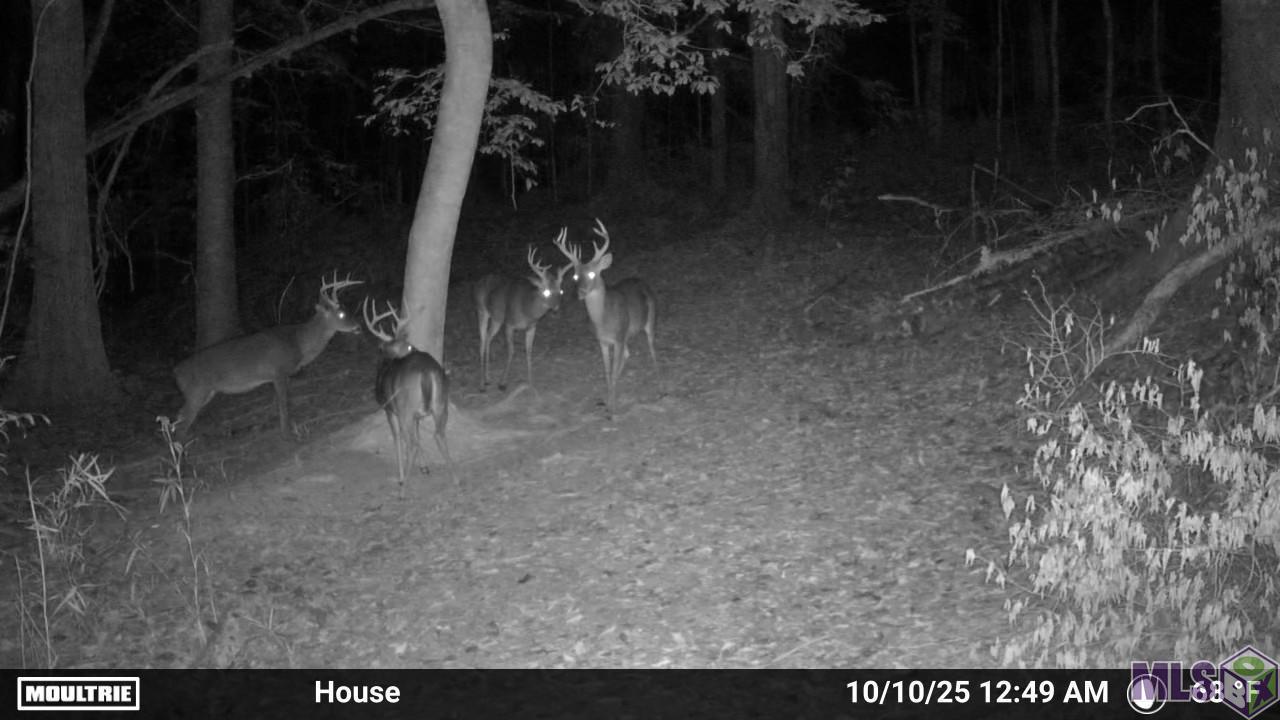 12724 Pittman Road St. Francisville, LA 70775 - Photo 48 of 59