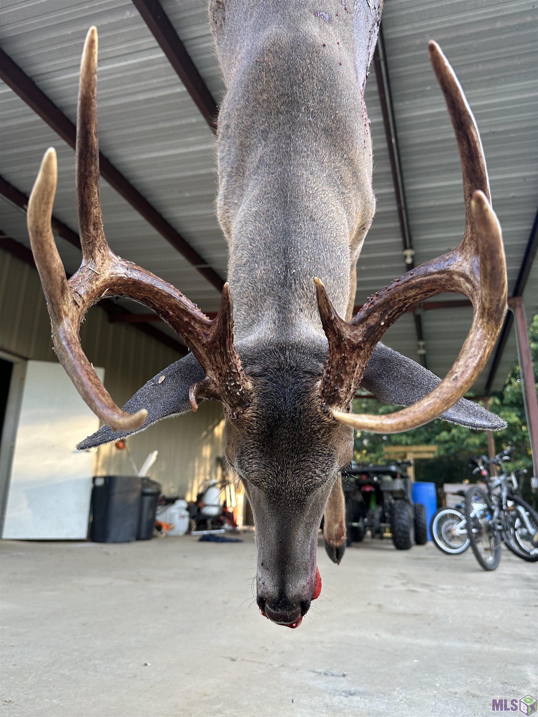 12724 Pittman Road St. Francisville, LA 70775 - Photo 49 of 59