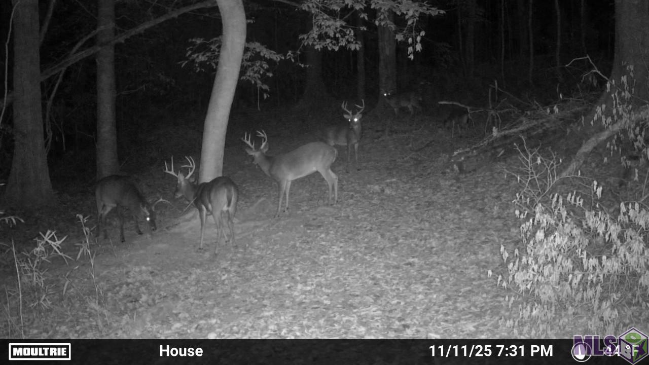 12724 Pittman Road St. Francisville, LA 70775 - Photo 51 of 59