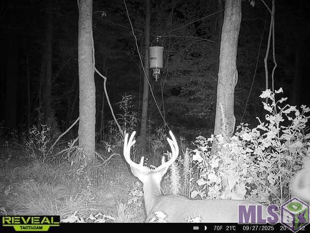 12724 Pittman Road St. Francisville, LA 70775 - Photo 52 of 59