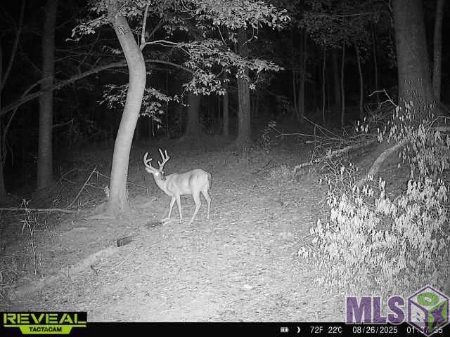 12724 Pittman Road St. Francisville, LA 70775 - Photo 53 of 59