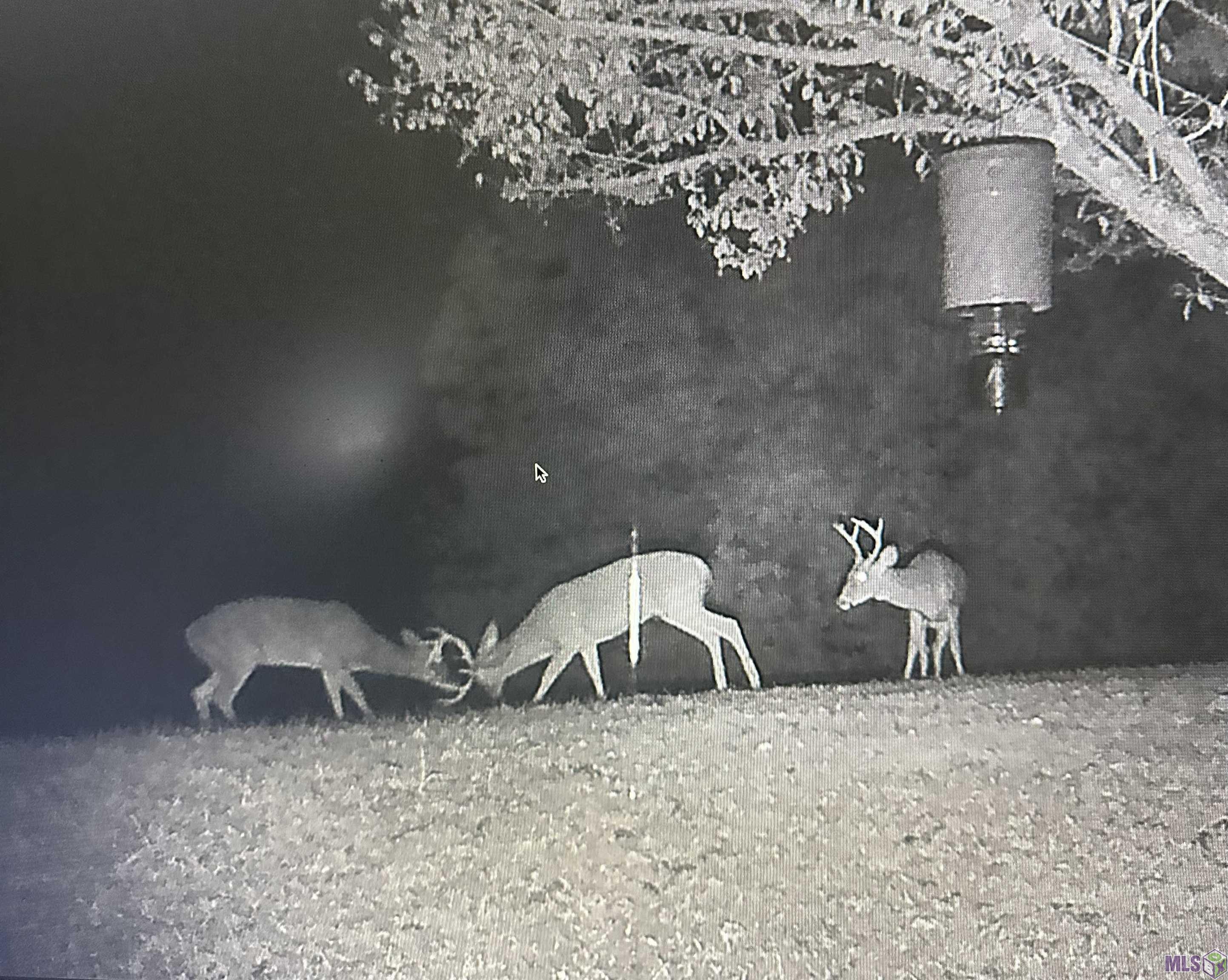 12724 Pittman Road St. Francisville, LA 70775 - Photo 55 of 59