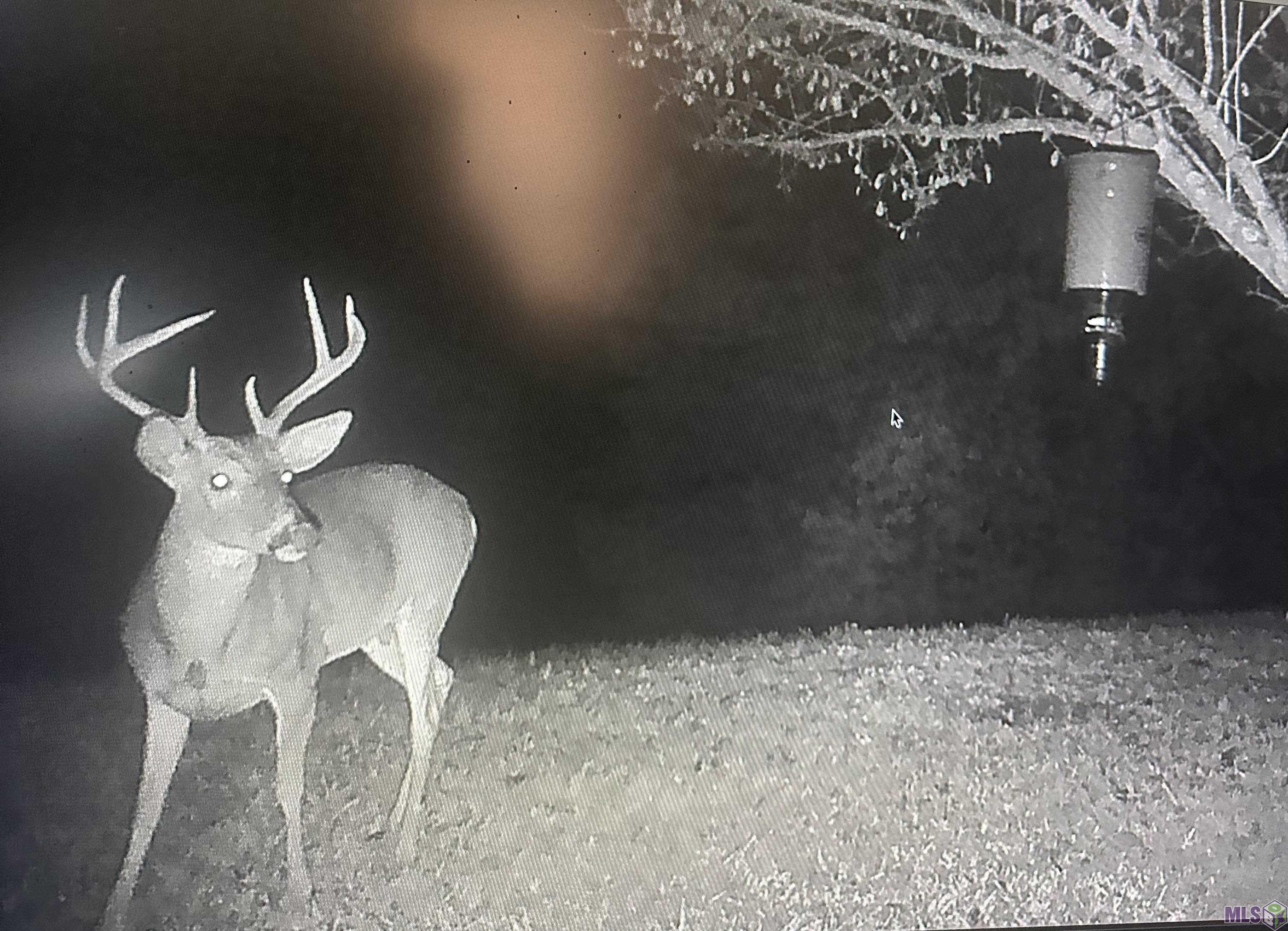 12724 Pittman Road St. Francisville, LA 70775 - Photo 56 of 59