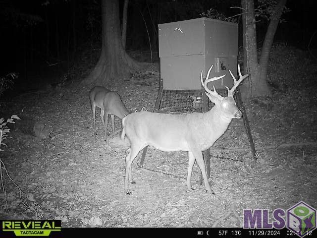 12724 Pittman Road St. Francisville, LA 70775 - Photo 58 of 59