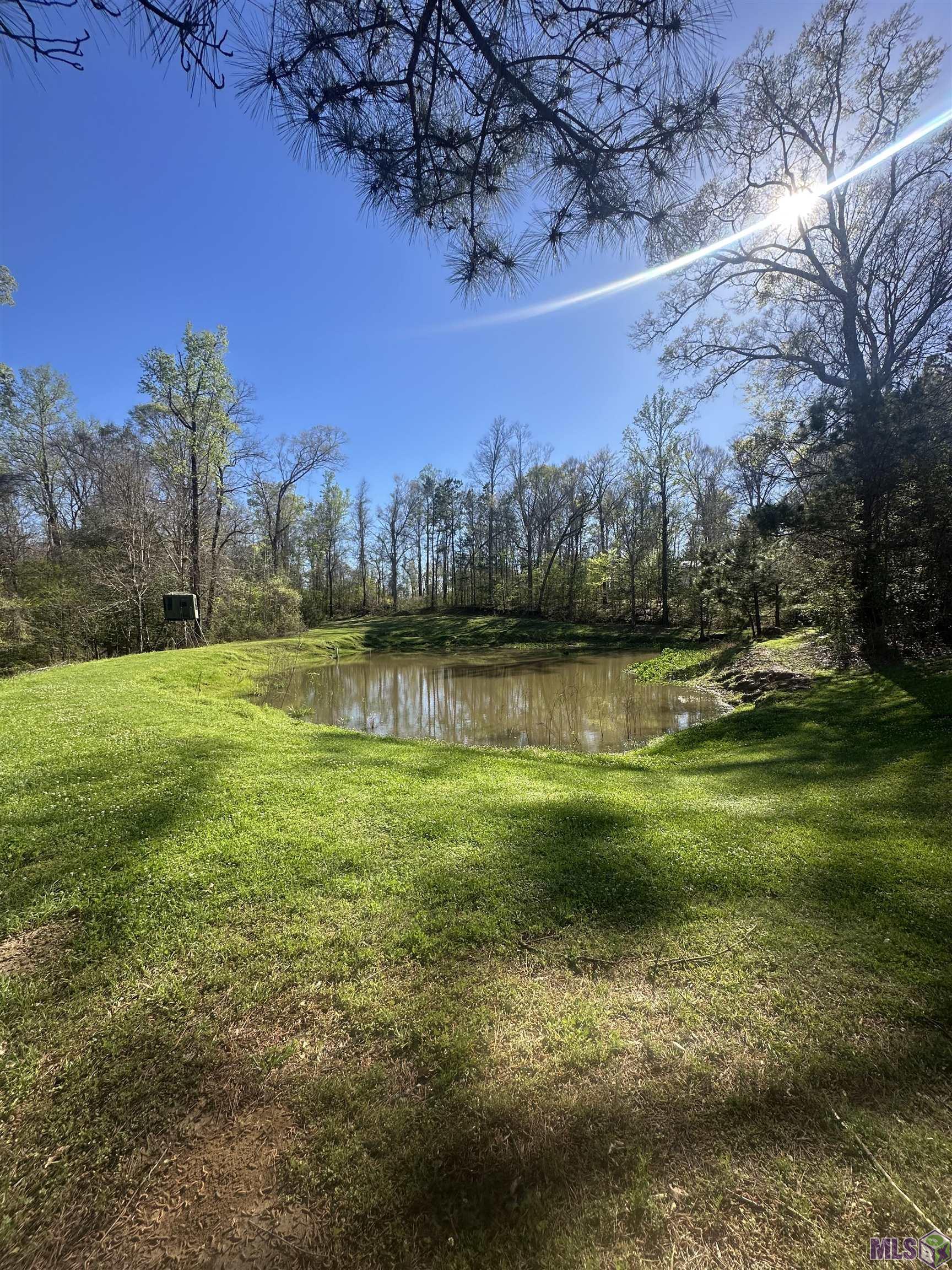 12724 Pittman Road St. Francisville, LA 70775 - Photo 58 of 58