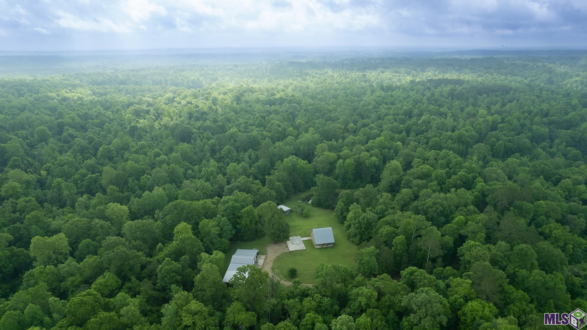 12724 Pittman Road St. Francisville, LA 70775 - Photo 7 of 59