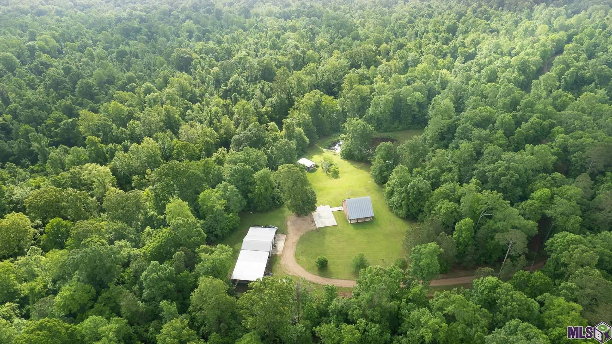 12724 Pittman Road St. Francisville, LA 70775 - Photo 8 of 59