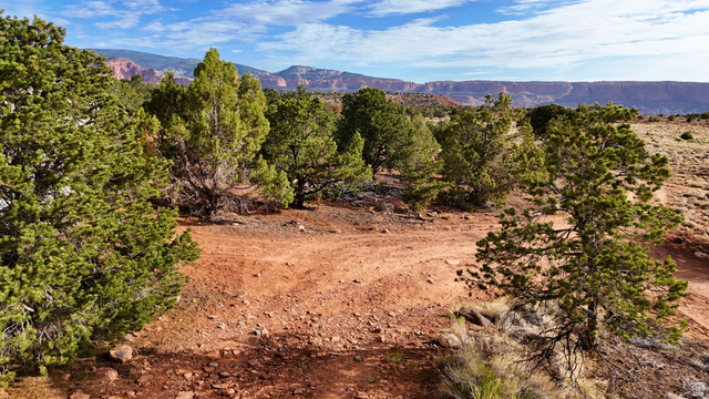 358 South Sky Drive Torrey, UT 84775 - Photo 50 of 82 Expansive desert landscape featuring natural terrain and mature evergreen trees under a blue sky with scattered clouds