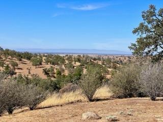 28475 River Rd Way Madera, CA 93636 - Photo 14 of 15