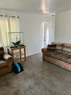 28475 River Rd Way Madera, CA 93636 - Photo 8 of 15