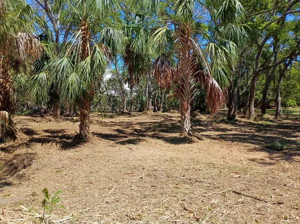 a view of yard