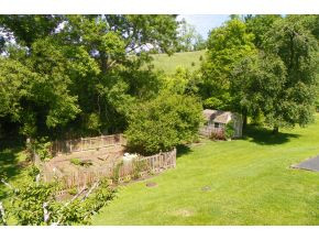 164 Wonder Valley Road Bristol, TN 37620 - Photo 23 of 24 Back Yard