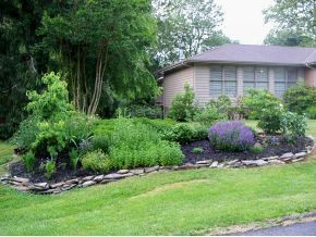 Front Landscaping