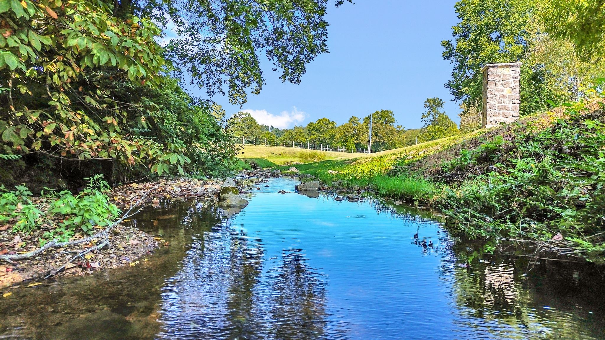 4291 Skelley Road Santa Fe, TN 38482 - Photo 51 of 53