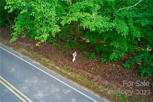 a view of a garden with a bench