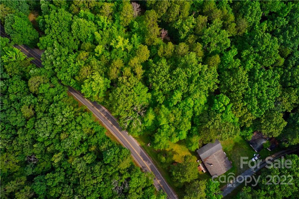 650 Union Road Matthews, NC 28104 - Photo 3 of 9 a close up of a plant in a garden