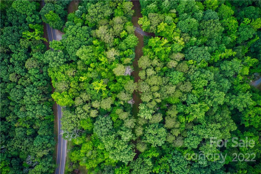 650 Union Road Matthews, NC 28104 - Photo 8 of 9 a view of a lush green forest