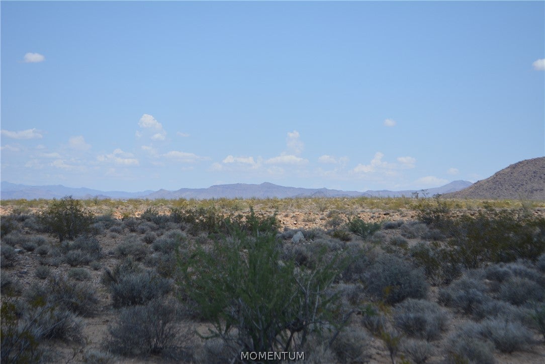 208-24-134 South Cameron Road Yucca, AZ 86438 - Photo 22 of 86 Gallery Image 22