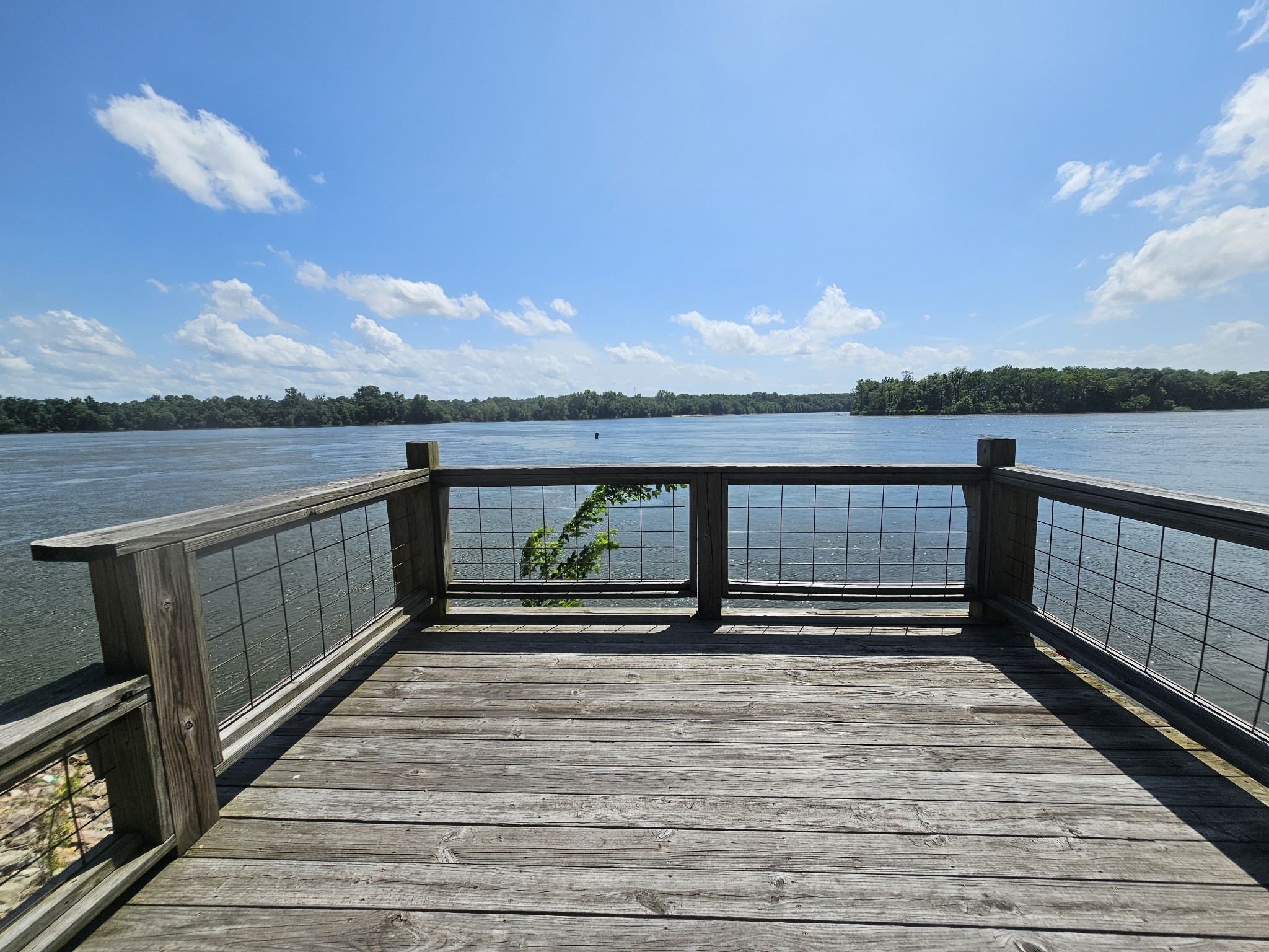 625 Tn River Estates Road Clifton, TN 38425 - Photo 39 of 64