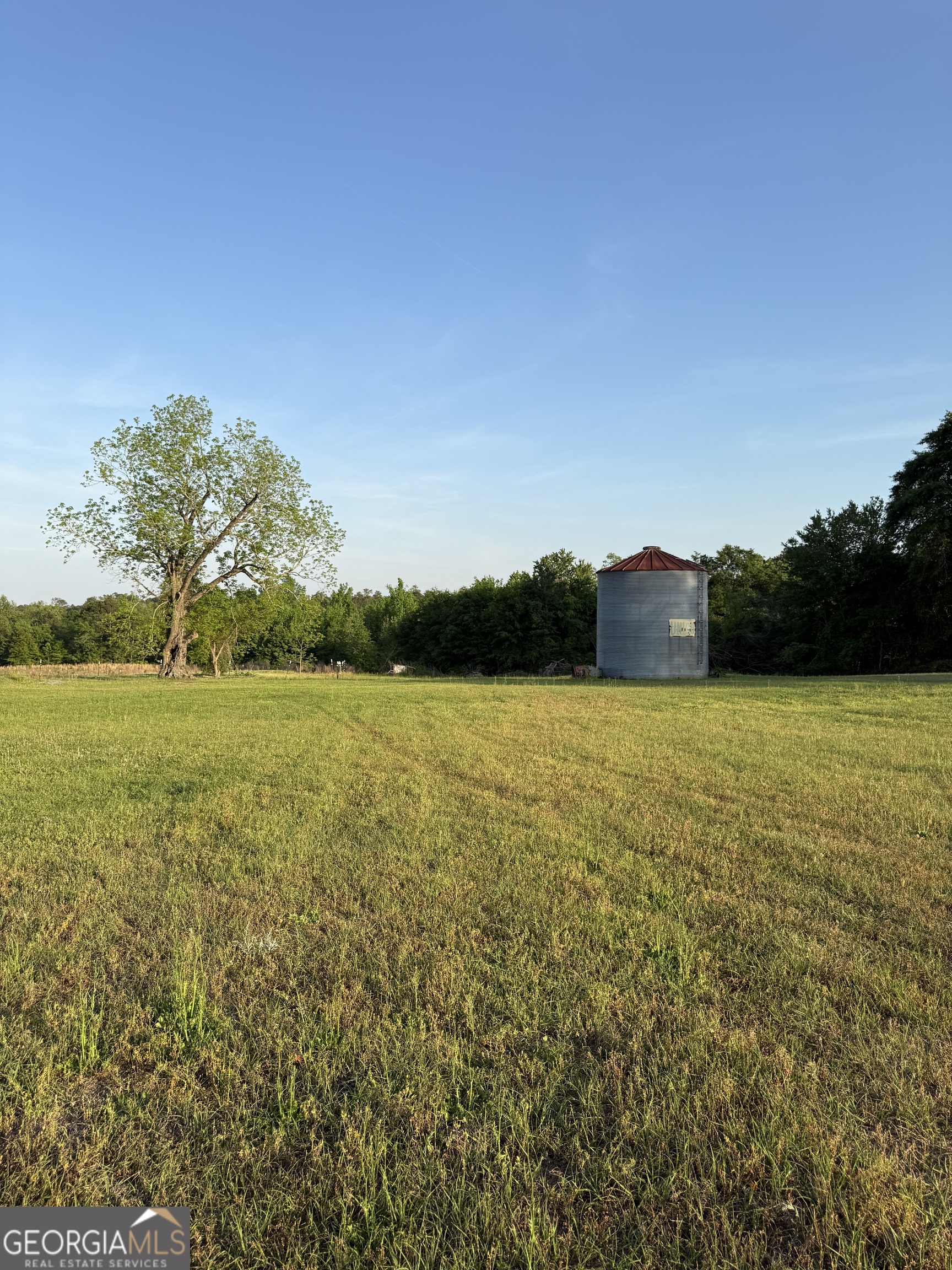 3856 Highway 231 Harrison, GA 31035 - Photo 45 of 52