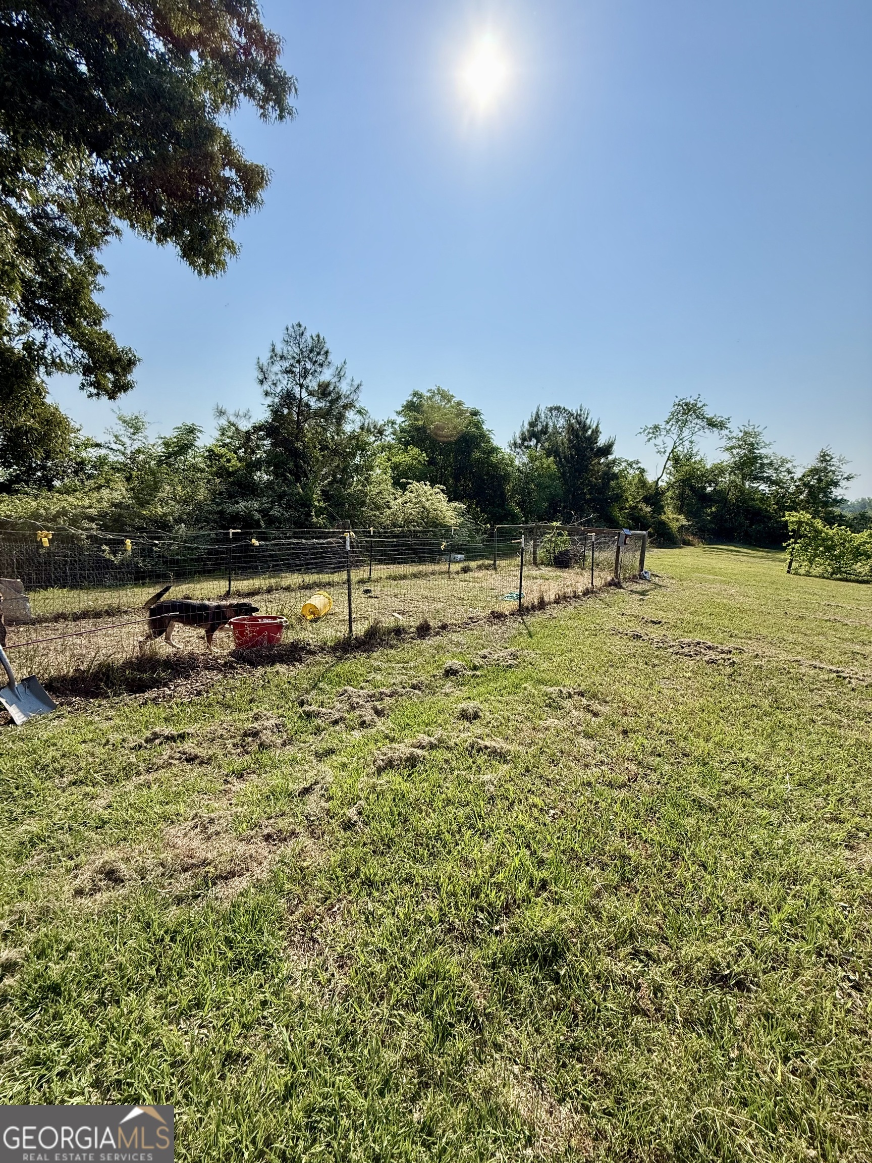 3856 Highway 231 Harrison, GA 31035 - Photo 9 of 52