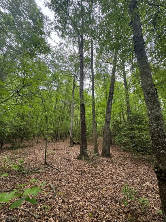 6 Griffin Mill Road Pickens, SC 29671 - Photo 17 of 18