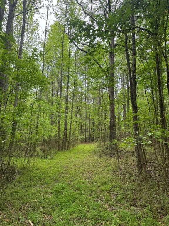 6 Griffin Mill Road Pickens, SC 29671 - Photo 18 of 18