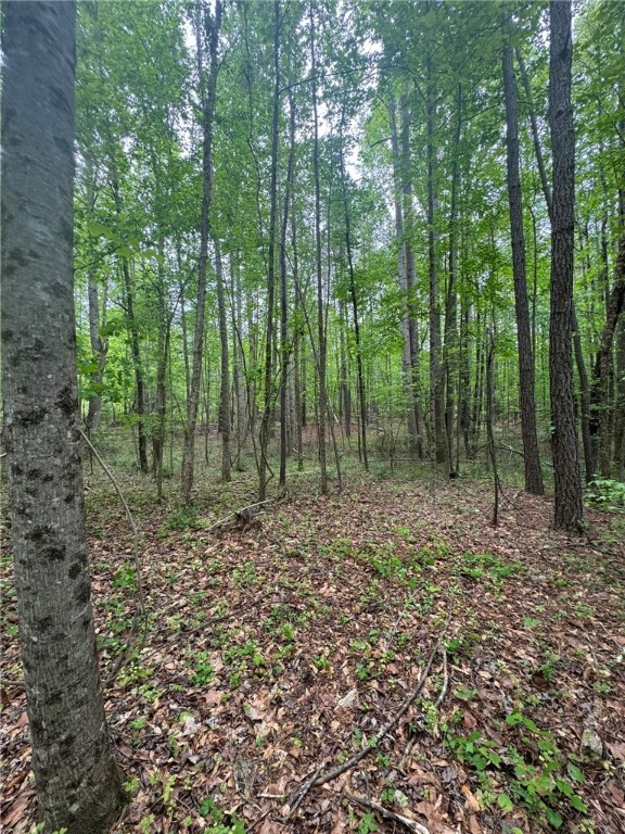 6 Griffin Mill Road Pickens, SC 29671 - Photo 3 of 18
