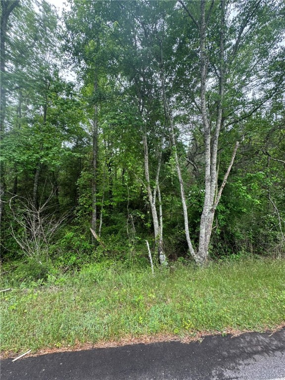 6 Griffin Mill Road Pickens, SC 29671 - Photo 5 of 18