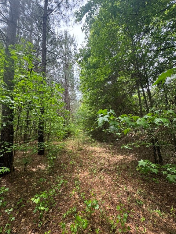 6 Griffin Mill Road Pickens, SC 29671 - Photo 6 of 18