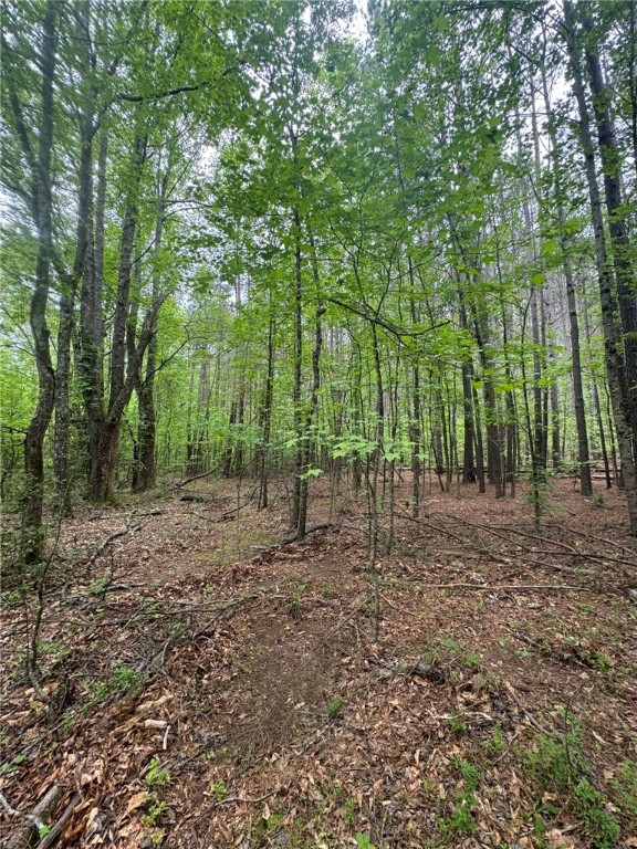 6 Griffin Mill Road Pickens, SC 29671 - Photo 8 of 18