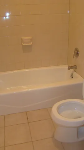 a bathroom with a toilet and a bath tub