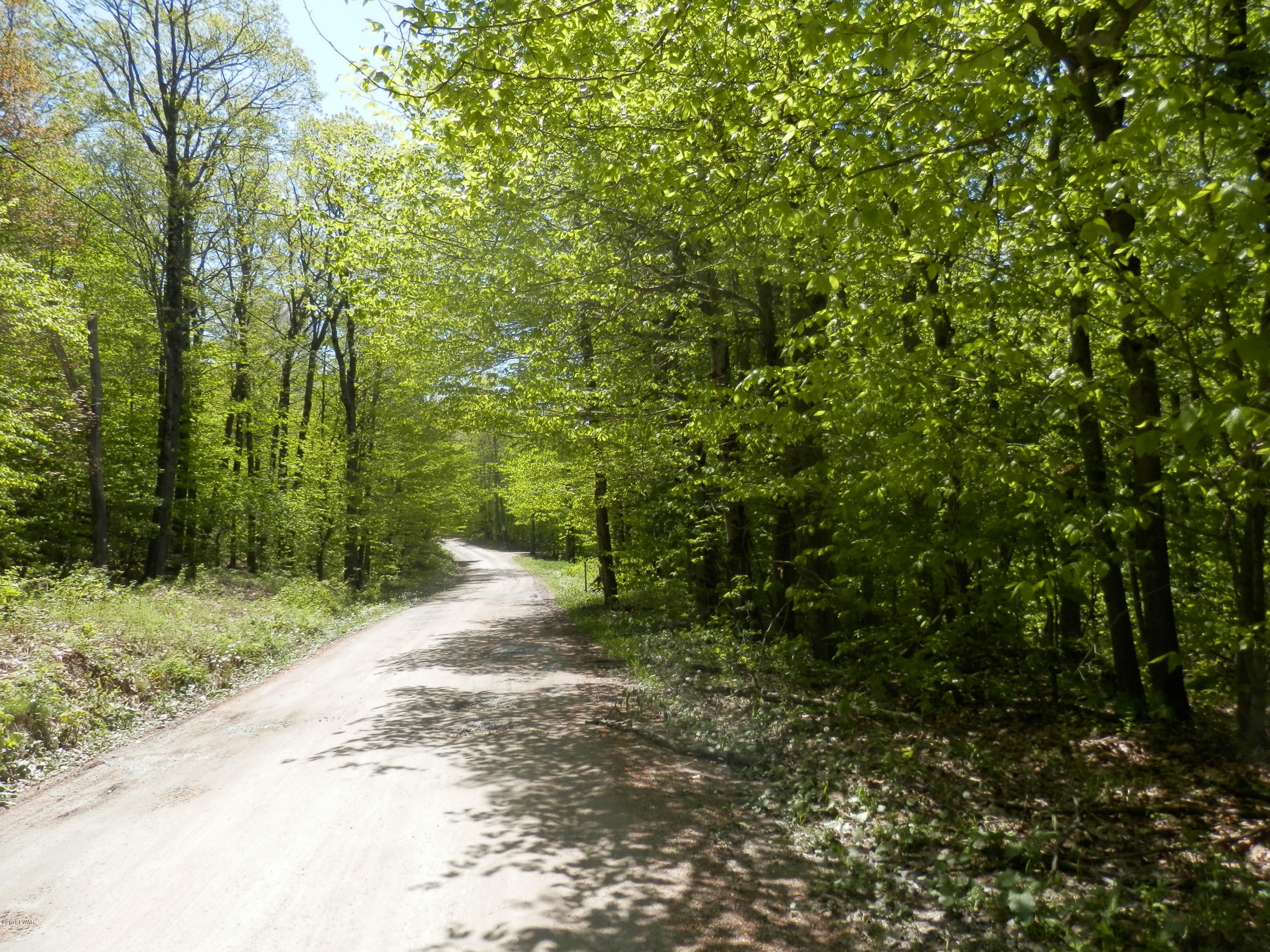 580 Brace Brook Road Union Dale, PA 18470 - Photo 4 of 5