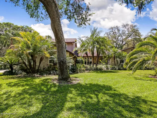 a view of a trees with a yard