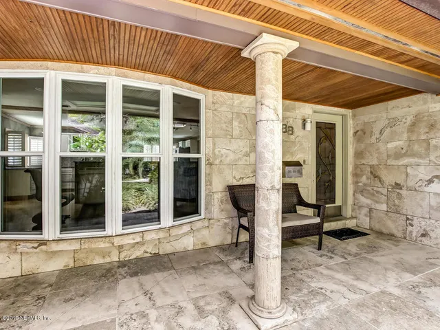 a close up of a plant in a room