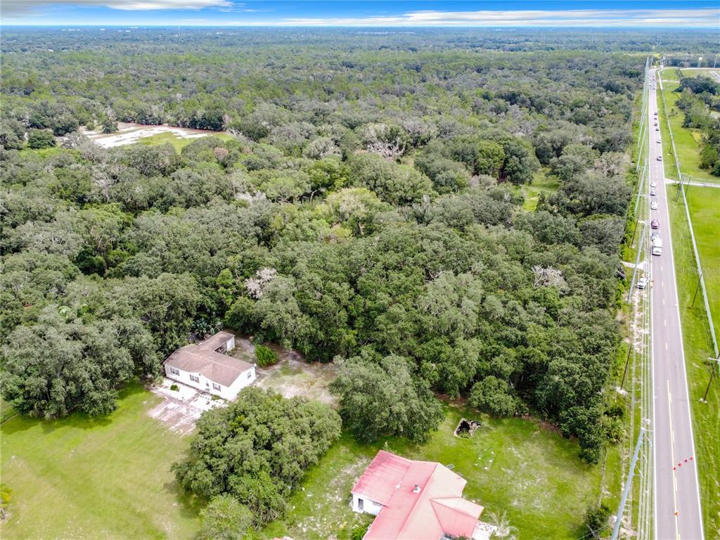16206 Boyette Road Riverview, FL 33569 - Photo 11 of 16 a view of a forest with a houses