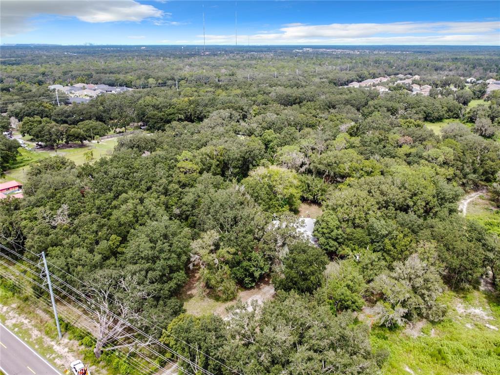 16206 Boyette Road Riverview, FL 33569 - Photo 15 of 16 a view of a city with lush green forest