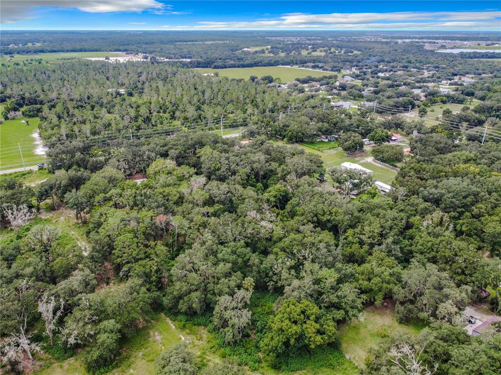 16206 Boyette Road Riverview, FL 33569 - Photo 4 of 16 a view of a city with lush green forest