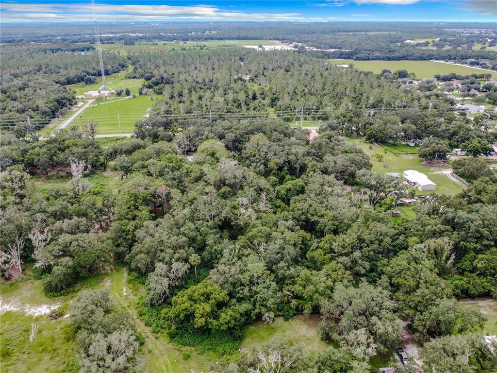 16206 Boyette Road Riverview, FL 33569 - Photo 5 of 16 an aerial view of a houses with a yard