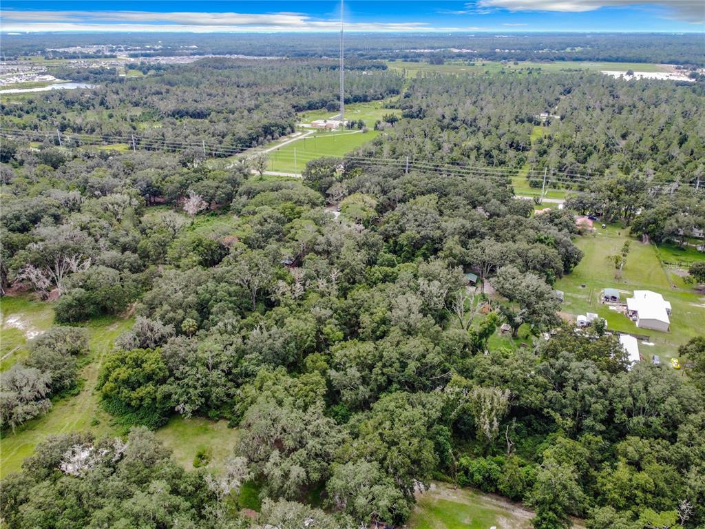 16206 Boyette Road Riverview, FL 33569 - Photo 6 of 16 a view of a field with trees in the background