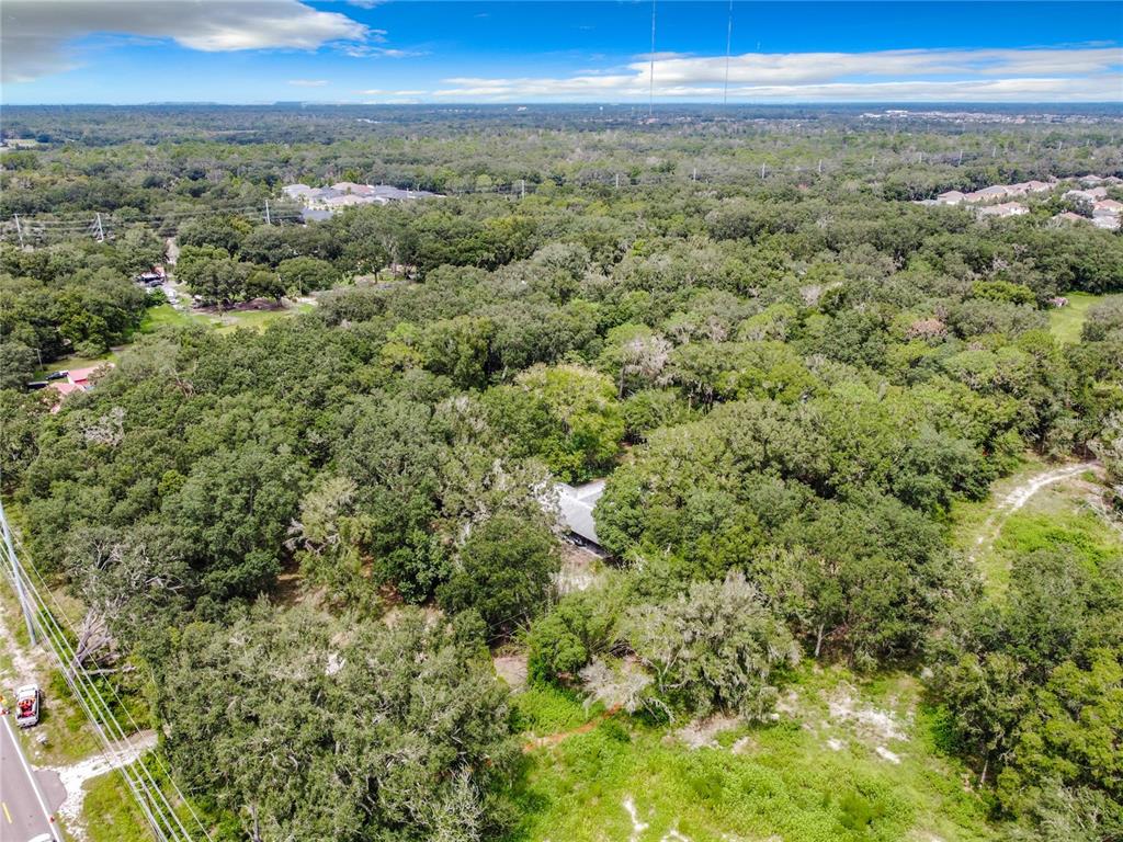 16206 Boyette Road Riverview, FL 33569 - Photo 10 of 16 a view of a city with lush green forest