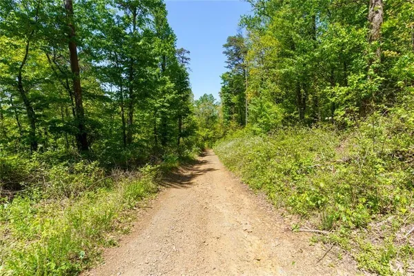 a view of a pathway both side of yard
