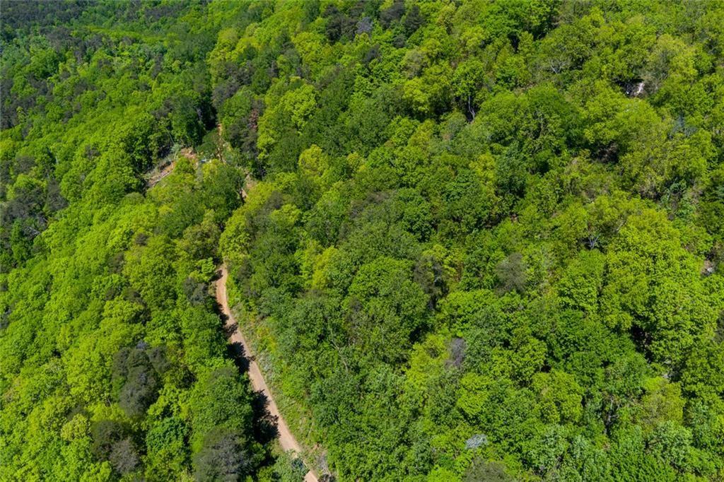 0 Firetower Road Jasper, GA 30143 - Photo 11 of 12 a view of a lush green forest with a tree