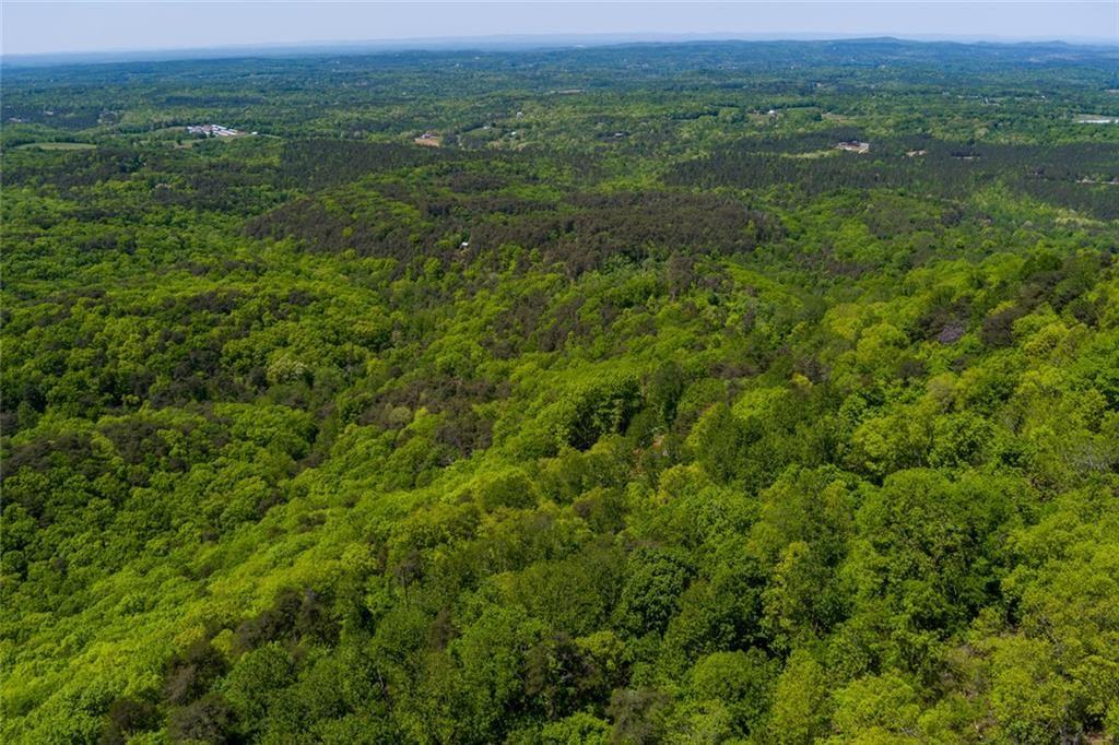 0 Firetower Road Jasper, GA 30143 - Photo 12 of 12 a view of a lush green forest with lush green forest and mountain view