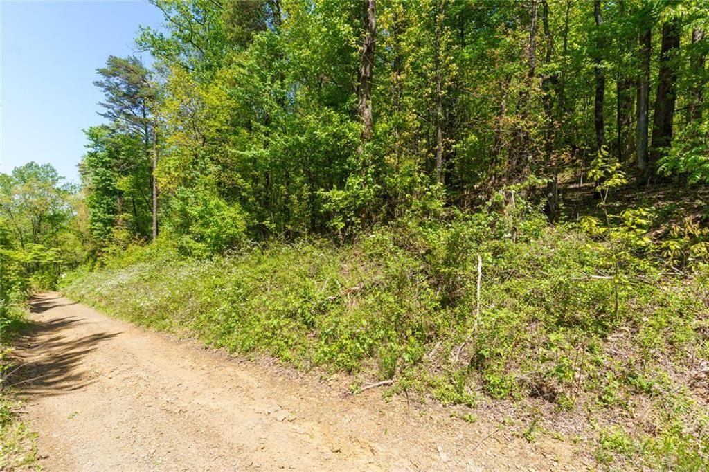 0 Firetower Road Jasper, GA 30143 - Photo 3 of 12 a view of a yard with plants and trees