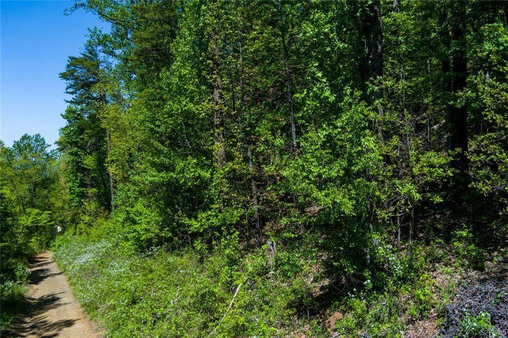 0 Firetower Road Jasper, GA 30143 - Photo 4 of 12 a view of a lush green forest