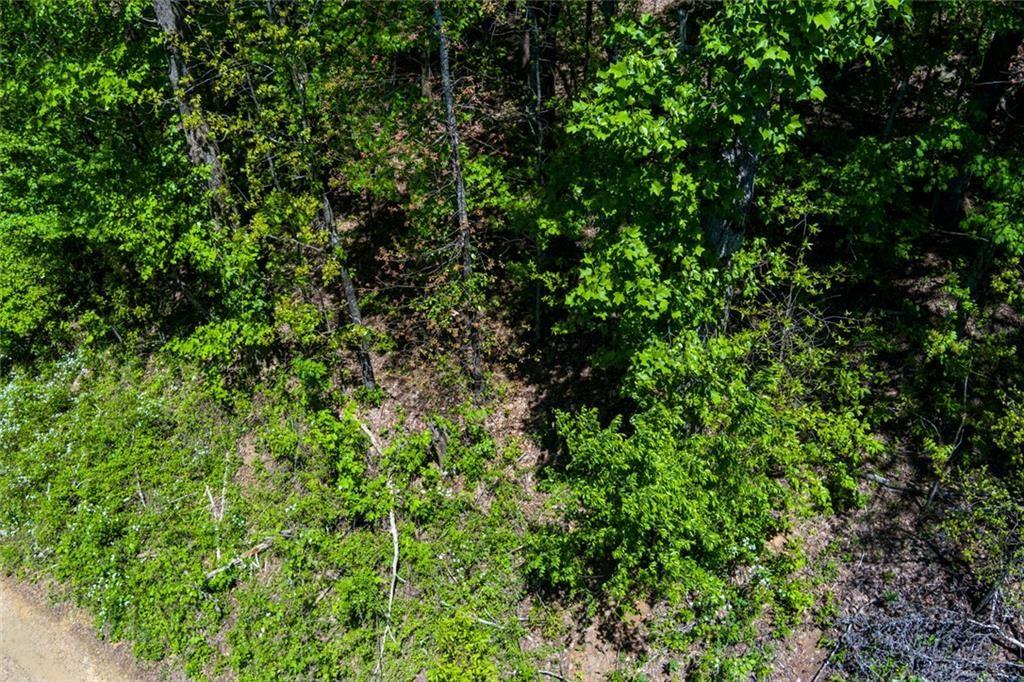 0 Firetower Road Jasper, GA 30143 - Photo 5 of 12 a view of a lush green forest