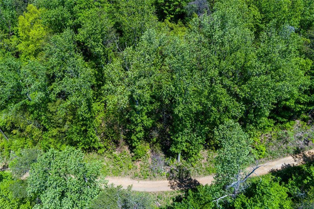 0 Firetower Road Jasper, GA 30143 - Photo 7 of 12 a view of a lush green forest