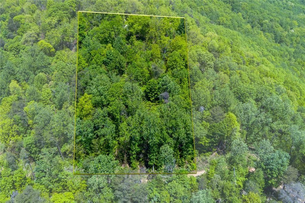 0 Firetower Road Jasper, GA 30143 - Photo 8 of 12 a view of a yard